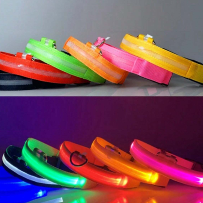 Collar Luminoso LED Recargable