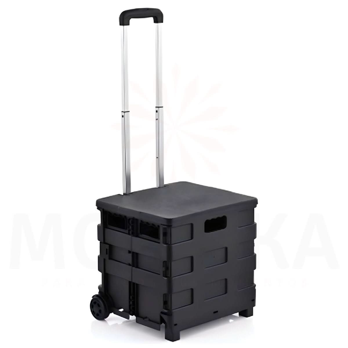 Carro Plegable
