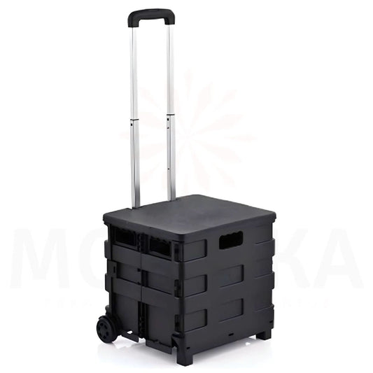 Carro Plegable