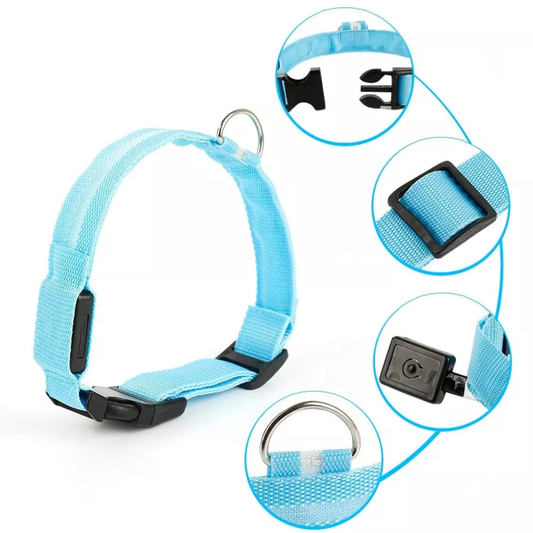 Collar Luminoso LED Recargable