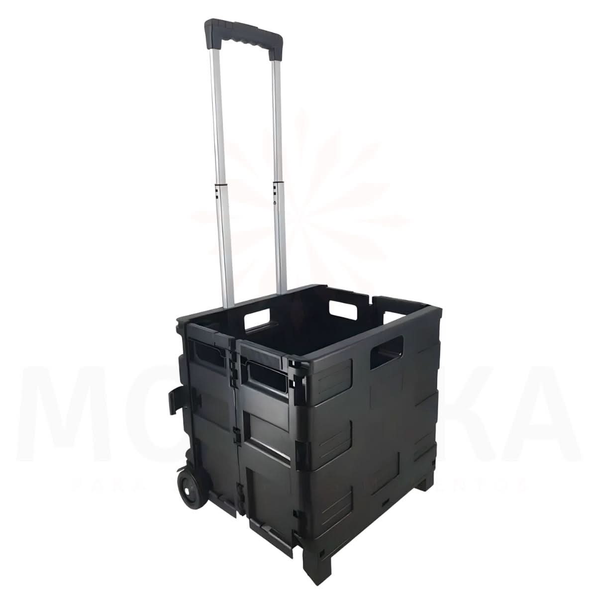 Carro Plegable