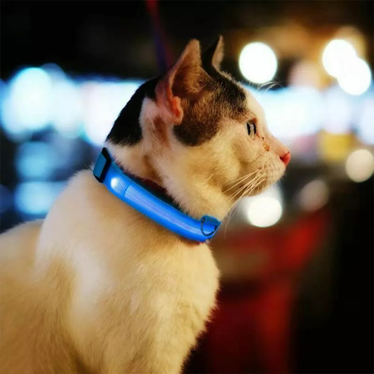 Collar Luminoso LED Recargable